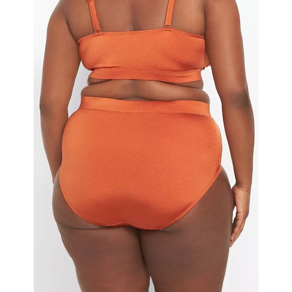 Lane Bryant Cacique Shimmer Swim Brief 18 - Picture 2 of 3